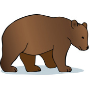 bjørn